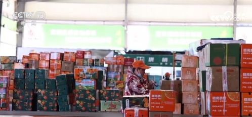 透過數(shù)據(jù)看 暖意 多措并舉促經(jīng)濟 惠民生 暖民心