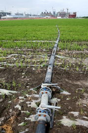 天業大力使用低汞觸媒，敢當中國氯堿行業無汞化的探路先鋒