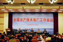 貴州農(nóng)業(yè)科技信息網(wǎng) 科技賦能農(nóng)業(yè)，技術(shù)推廣助力鄉(xiāng)村振興