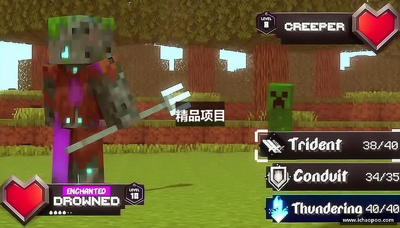 精品項(xiàng)目